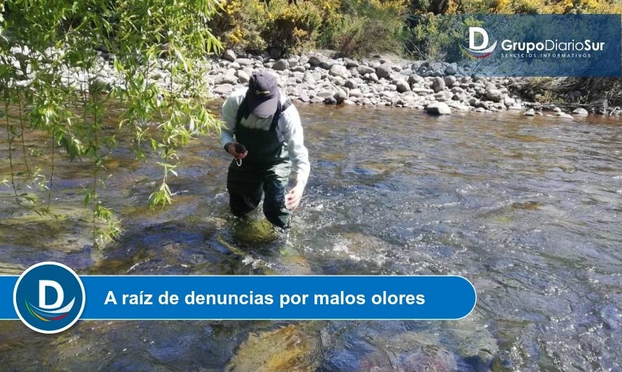 Sernapesca informó a SMA sobre fiscalizaciones en río Pescado