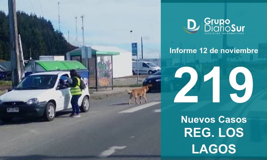 Región de Los Lagos: Más de 200 casos nuevos y cuatro fallecidos 