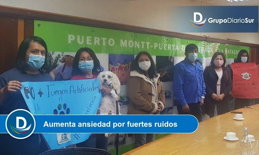 Animalistas llaman a erradicar fuegos artificiales en Puerto Montt