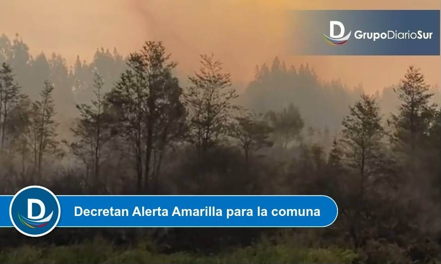 Más de 20 hectáreas había  consumido ya incendio forestal en Calbuco 