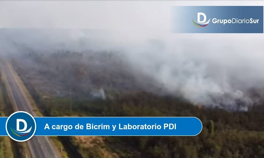 Fiscalía inicia investigación por incendio forestal en Calbuco