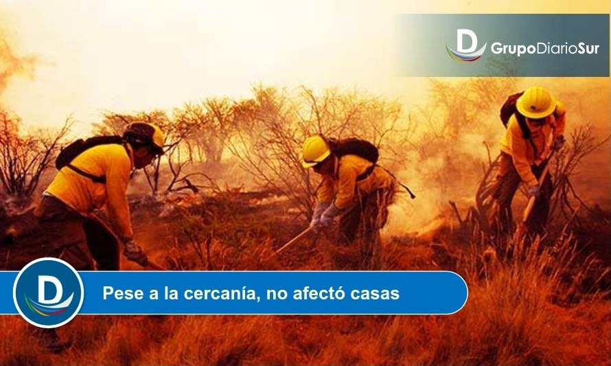 Seis hectáreas consumió incendio en sector Trumao 