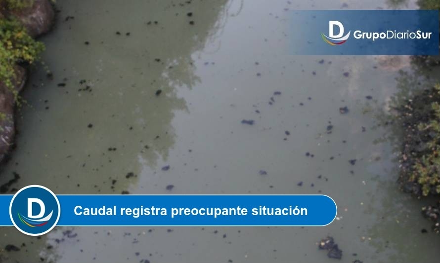 Red ambiental alerta sobre megaproyecto inmobiliario a orillas del río Damas 