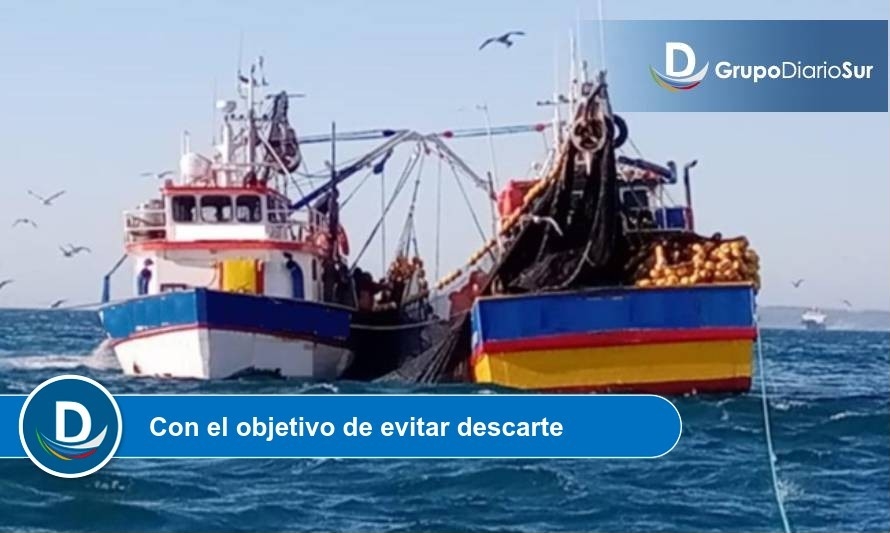 Subpesca regula traspaso de excedentes de captura entre embarcaciones 
