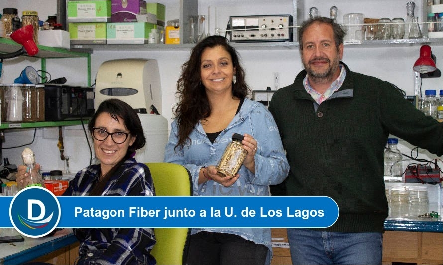 Start up osornina desarrolla innovador biomaterial para la industria textil