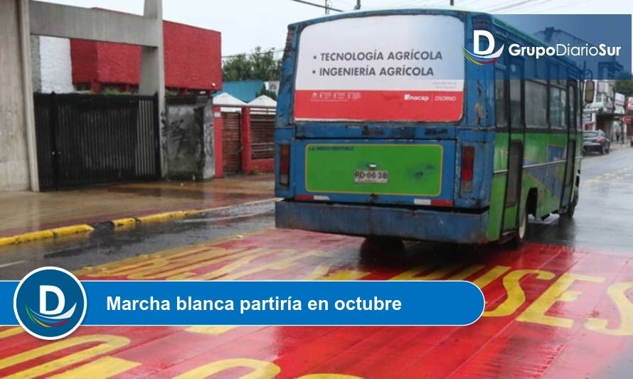 Conozca detalles del plan de ordenamiento del transporte público de Osorno