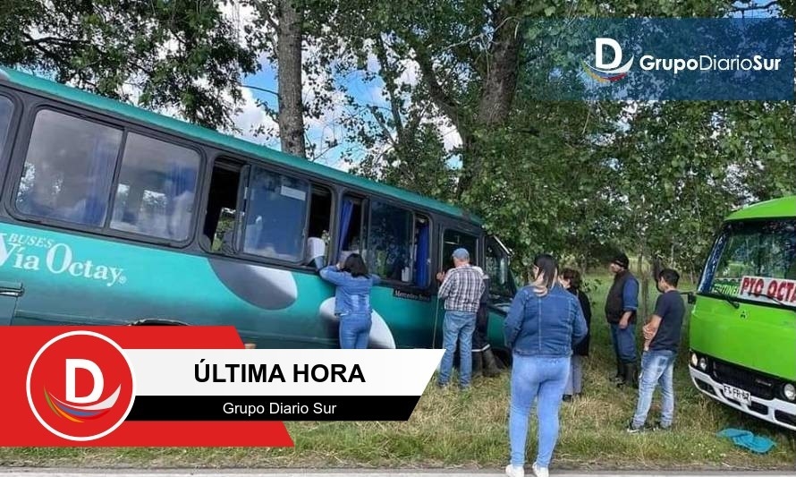 Bus impactó un árbol en ruta Osorno-Puerto Octay