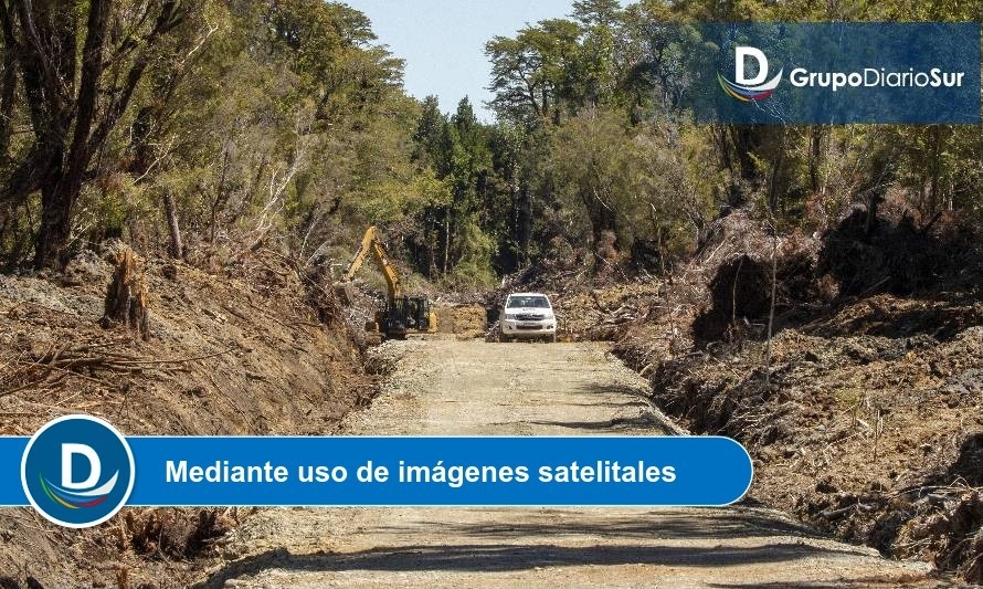 Detectan corta ilegal de bosque nativo en proyecto inmobiliario