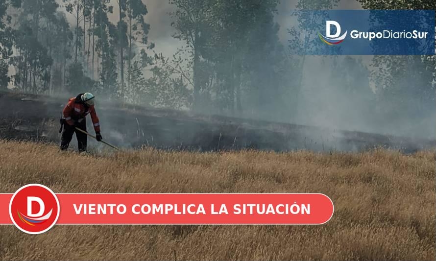 Onemi declaró alerta roja en Paillaco por incendio forestal