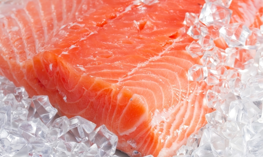 Exportaciones de salmón y trucha han crecido en promedio un 8% anual durante la última década 