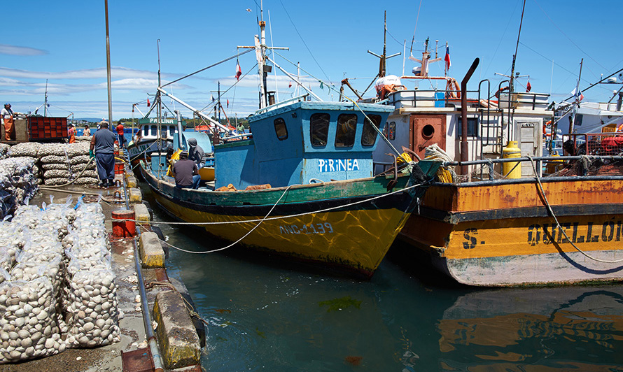 Sernapesca y SII firman acuerdo para fortalecer fiscalización acuícola y pesquera