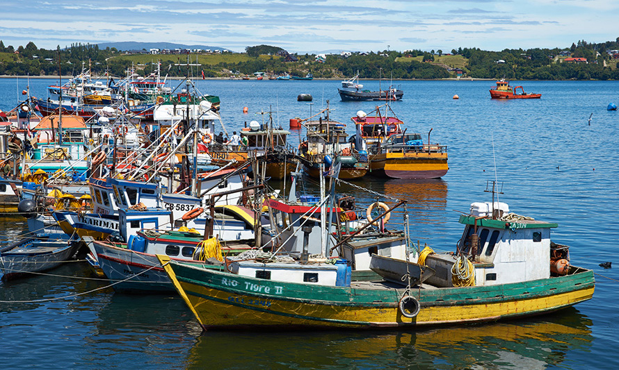 Conapach se reunió con Subpesca para abordar ley corta y problemas de la pesca artesanal