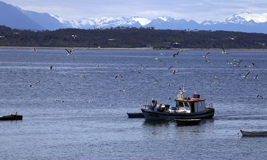 Coronavirus: las distintas realidades que se viven en el mundo de la pesca artesanal