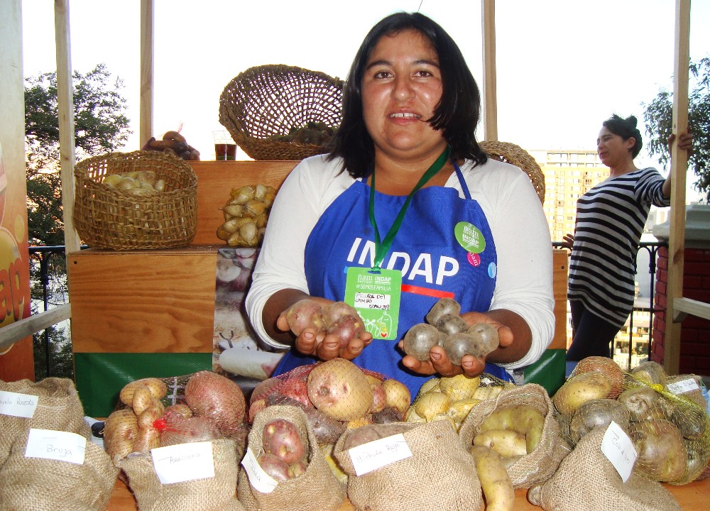 Productores de Los Lagos en la ExpoMundo Rural