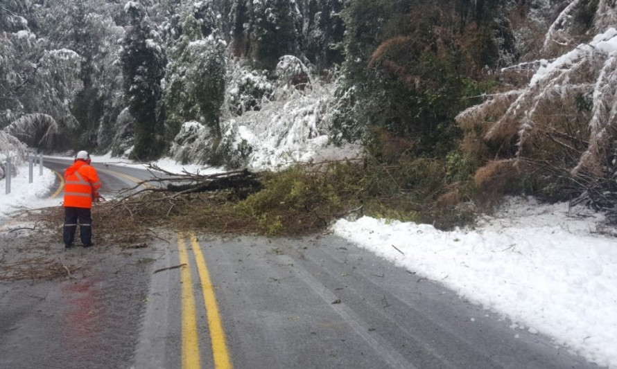 Intensas nevazones cortan conectividad con Argentina y aíslan sectores cordilleranos